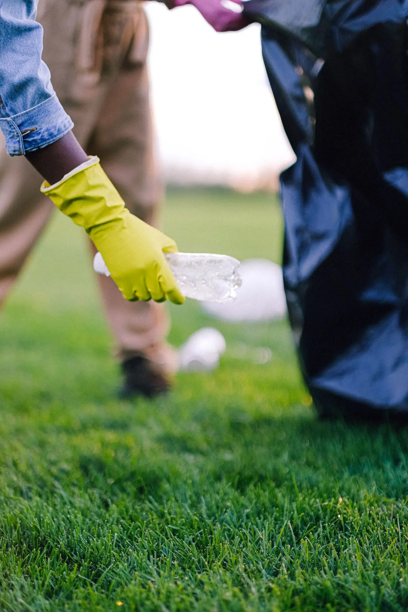 Hand im gelben Handschuh hebt eine Plastikflasche aus dem Rasen